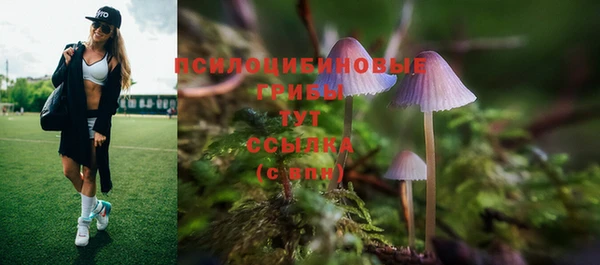 apvp Медногорск
