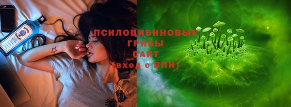 apvp Медногорск