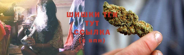 тгк Магас