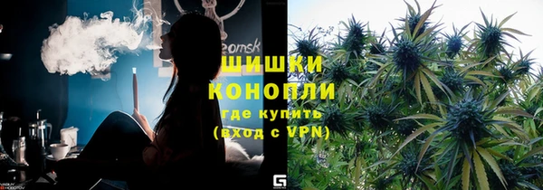 тгк Магас