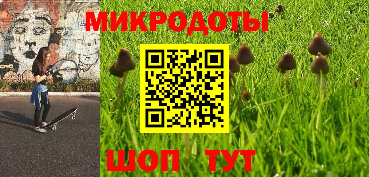 Галлюциногенные грибы Psilocybine cubensis Лесозаводск