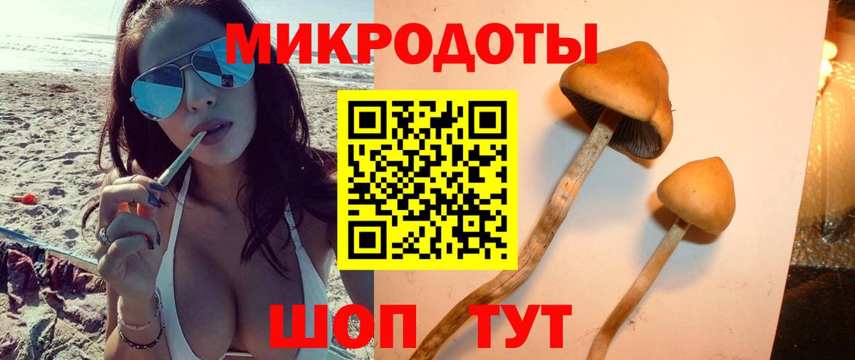 Галлюциногенные грибы мицелий  Вход с VPN  Лесозаводск 
