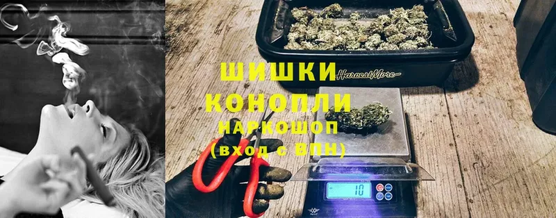 хочу наркоту  Лесозаводск  Конопля SATIVA & INDICA 